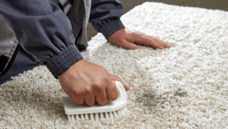 Professional Rug Cleaning Aspendale